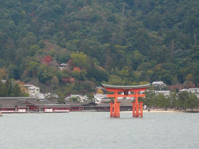 紅葉をめがけて宮島へお出かけ。凄い人出でした…。