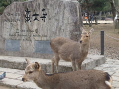 悠久の都・奈良。遷都1300年。