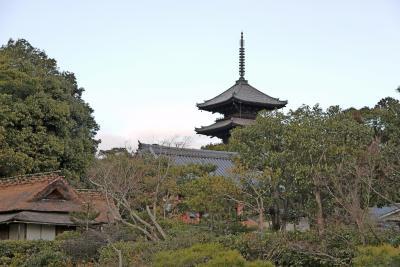 正月は家にずっといて，ギリシア・トルコ旅行のブログ作りと仕事をしてゆっくりと過ごす．初詣は例年通りだった．1/9-10と京都で学会があったので，1/10のみ出席した．翌日1/11は休みだったので奈良に行ってきた．3年ぶりの京都奈良である．私は六波羅蜜寺，東寺，観音寺，蟹満寺，当麻寺，聖林寺などの仏像が好きだが，今回はそれだけの時間がない．また「京の冬の旅」の特別拝観から，仁和寺と奈良は交通便利な薬師寺，唐招提寺，興福寺，東大寺三月堂，初詣がてら春日大社とポピュラーなところを回ってきた．やはり京都奈良は世界に誇る文化遺産と思う．「大和は国のまほろば」，海外に行けば行くほどその価値の高さを再認識させられる．新横浜発のぞみ249号で京都，八条口のホテルビスタにとまる．典型的なビジネスホテルでやや新しく，すこし高級．朝食は「京のおばんざい」で良かったが，レストランが狭く減点．国際会館で1430まで学会に出席した後，仁和寺に行った．金堂，霊宝館での特別拝観があるからだ．寒い一日だが，久しぶりの京都はよかった．