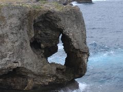 年忘れの旅沖縄　万座毛・琉球村　2009．12．27
