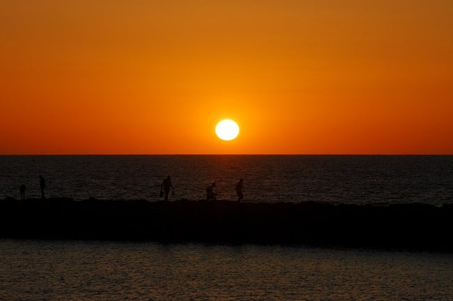 2005年にドイツに引越してきて、最初の年末旅行はハイデルベルクでした。これが不運にも十数年来の大寒波の中での旅になり、寒いのはもう懲り懲り(クリスマスマーケットだけは寒くても好きだけど)。それで、次の年の年末は暖かいところへ行くぞと決めました。<br /><br />でも、暖かくて冬でも旅が楽しめるところって、はて? ここ!という場所が思い浮かばず、ドイツに長年暮らしている友人に相談したら、「それならカナリア諸島でしょ」とのこと。<br /><br />カナリア諸島というと、大滝詠一の『カナリア諸島にて』の歌くらいの知識しかなく(←歳がばれる)、どこにあるのかすら知らなかった我が夫婦。調べてみたら、モロッコの西方沖にあるんだ~、アフリカの近くじゃん、でもスペイン領! と今ごろ知りました。<br /><br />行き先は決まったけれど、日本語の情報がほとんど得られず(ドイツ語の情報なら山のようにあったけど)、旅行まで1ヵ月半と時間もあまりなかったので、旅行会社に相談したら、デュッセルドルフ発着テネリフェ島行きの「飛行機・ホテル(朝・夕食付き)・空港~ホテル間の送迎付き」の個人旅行プラン(4泊5日)があるとのこと。<br /><br />お~、それはいい!<br />ということで、あっさりそのプランに決めました。<br /><br />実は、カナリア諸島はドイツ人にとても人気のある旅先らしく、ドイツから直行のチャーター便が何便も出ていました。<br />でも、直行とはいっても、アフリカのそばまで行くので、フライト時間も4時間半と、かなり遠いことに飛行機に乗ってから気づきました(ドイツと時差が1時間あることに気づいていなかった・・・)。<br /><br />ところで、カナリア諸島には7つの島があり、今回行くテネリフェ島は一番大きい島らしい。空港も島の北と南に1つずつあり、わたしたちの飛行機は「テネリフェ南」行き。<br /><br />というわけで、2006年の年末、暖かい場所を求めて4泊5日の旅へ出発しました。<br />