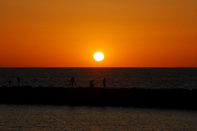 2005年にドイツに引越してきて、最初の年末旅行はハイデルベルクでした。これが不運にも十数年来の大寒波の中での旅になり、寒いのはもう懲り懲り（クリスマスマーケットだけは寒くても好きだけど）。それで、次の年の年末は暖かいところへ行くぞと決めました。<br /><br />でも、暖かくて冬でも旅が楽しめるところって、はて？　ここ！という場所が思い浮かばず、ドイツに長年暮らしている友人に相談したら、「それならカナリア諸島でしょ」とのこと。<br /><br />カナリア諸島というと、大滝詠一の『カナリア諸島にて』の歌くらいの知識しかなく(←歳がばれる)、どこにあるのかすら知らなかった我が夫婦。調べてみたら、モロッコの西方沖にあるんだ～、アフリカの近くじゃん、でもスペイン領！　と今ごろ知りました。<br /><br />行き先は決まったけれど、日本語の情報がほとんど得られず（ドイツ語の情報なら山のようにあったけど）、旅行まで１ヵ月半と時間もあまりなかったので、旅行会社に相談したら、デュッセルドルフ発着テネリフェ島行きの「飛行機・ホテル（朝・夕食付き）・空港～ホテル間の送迎付き」の個人旅行プラン（４泊５日）があるとのこと。<br /><br />お～、それはいい！<br />ということで、あっさりそのプランに決めました。<br /><br />実は、カナリア諸島はドイツ人にとても人気のある旅先らしく、ドイツから直行のチャーター便が何便も出ていました。<br />でも、直行とはいっても、アフリカのそばまで行くので、フライト時間も４時間半と、かなり遠いことに飛行機に乗ってから気づきました（ドイツと時差が１時間あることに気づいていなかった･･･）。<br /><br />ところで、カナリア諸島には７つの島があり、今回行くテネリフェ島は一番大きい島らしい。空港も島の北と南に１つずつあり、わたしたちの飛行機は「テネリフェ南」行き。<br /><br />というわけで、2006年の年末、暖かい場所を求めて４泊５日の旅へ出発しました。<br />