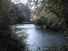 円海山周辺の山歩き（港南台～瀬上池～金沢文庫）