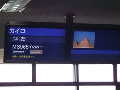 2009年12月エジプト(01) 出発、ホテル：アマランテピラミッズ１