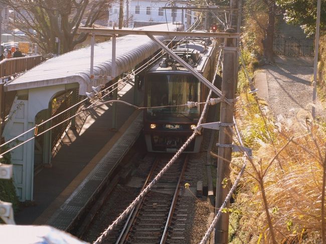 ふと思い立って、江ノ島＆鎌倉へ。<br />いつもは何となく車で出かけることが多いのですが、<br />今回は「江ノ島・鎌倉フリーパス」を使って電車で楽しんできました。<br />小田急線の最寄り駅から藤沢駅間の往復切符に加えて、<br />小田急線の藤沢〜江ノ島駅間＆江ノ電前線で乗り降り自由というとってもお得な切符です。<br />http://www.odakyu.jp/ticket/couponpass/enoshima.html<br /><br />帰りは藤沢から指定券を購入してちょこっとロマンスカーにも乗っちゃって、楽ち〜ん。<br />渋滞も気にせず、短い時間で盛りだくさんな日帰り旅。<br />お昼にビールも飲めちゃうし、電車の旅ってなかなか楽しい。<br />乗り降り自由というのが気軽で良いのですね。<br />また一つ、新たな楽しみを発見できました。