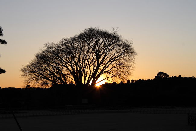 2010年1月16日、こんにゃく関所から水戸の偕楽園へ。<br /><br />偕楽園の梅は2月に見頃を迎えるのですが、出たついで。<br />夕刻迫る偕楽園へ足を運びました。<br /><br />常盤神社を通り抜け、偕楽園東門から梅林へ。<br /><br />やっぱり咲いていないね～とタメ息・・・が、小さな春を<br />見つけました。