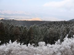 南九州の旅～１０　熊本　熊本城と草千里ヶ浜  へ行きましたよ…