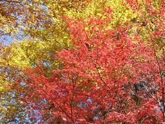 日帰り旅行シリーズ?　一大観光拠点で紅葉を愛でる（高尾山）