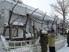 2010年元旦に円山動物園へ！