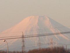 1月22日ふじみ野市から見られた富士山