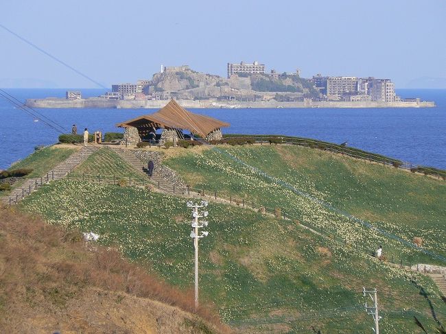 野母崎（のもざき）にある水仙の里公園には約1,000万株の水仙が植えられています。日曜日で快晴、風も弱いときたら、行くしかない！(^^)<br /><br />水仙の里公園には、東側・西側・北側の３ヶ所の展望広場（展望台）があります。東側→西側→北側の順に回りました。<br /><br />空気も澄んでいて、軍艦島（端島）がよく見えました。(^^)v<br />