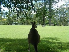 ☆Australia・Brisbane/GoldCoast☆