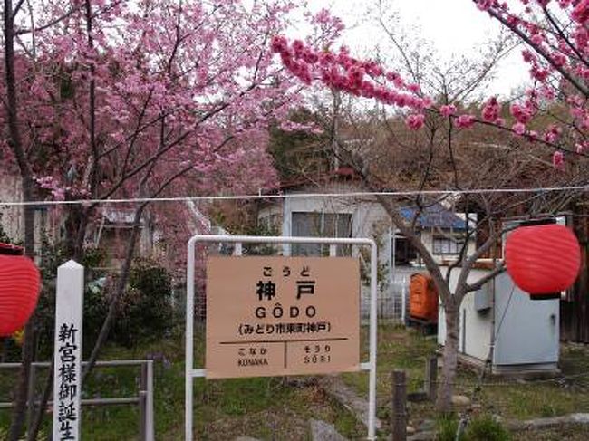 　神戸（こうべ）駅なら誰でも読めるが、近鉄伊賀線が分岐する近鉄神戸（かんべ）駅は？さて、ここでは、わたらせ渓谷鉄道の神戸（ごうど）駅を紹介する。この駅はまさに桃源郷駅だ。始めに、4つ手前の水沼駅の桜を見てから、300本の花桃が咲く神戸駅に行くこととしよう。<br />（表紙写真は神戸駅）