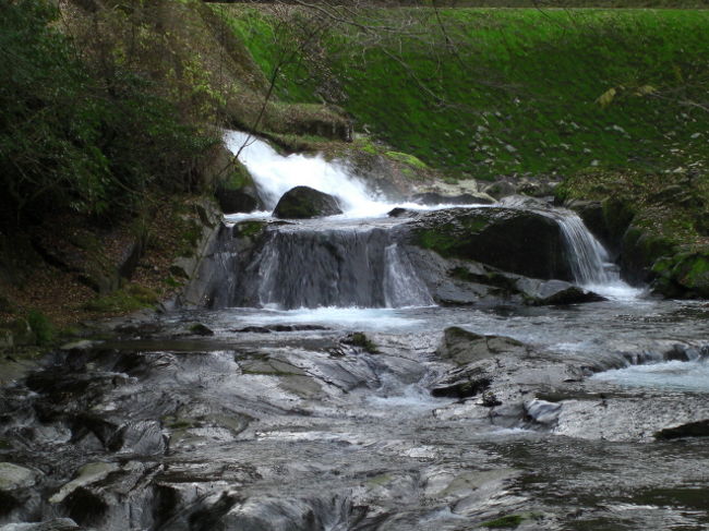 　昨日まで、鹿児島で英気を養い、福岡、佐賀、熊本で仕事を終えた後、菊池周辺にいたので、菊池温泉へ行きました。帰りの福岡からの飛行機の時間がかなり有るので、菊池渓谷へも行ってきました。菊池温泉から２０分くらいです。