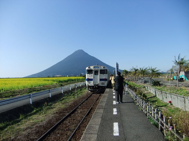 　年末のバタバタを癒やそう？と思い温泉へ！<br /><br />　ユックリと温泉三昧と考えたのですが・・・。<br />　お正月太り！！３?増えている！<br />　<br />　これは大変だ〜！デドックス効果・ダイエットにも良い？！という砂蒸し温泉しか無い！と思い指宿へ！<br /><br />　１泊２日（次の日から仕事でしたので・・・）で指宿へ！<br />　もちろん、１月５日までのＥＴＣ１０００円を利用してのひとり旅！<br />  日本一早い春を満喫して参りました！！<br />　