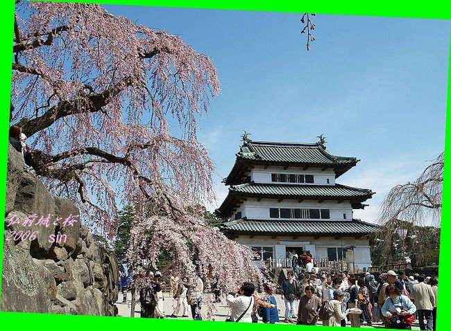 「弘前城 の 桜」 と 「天守 から見た 岩木山」　弘前市　青森県