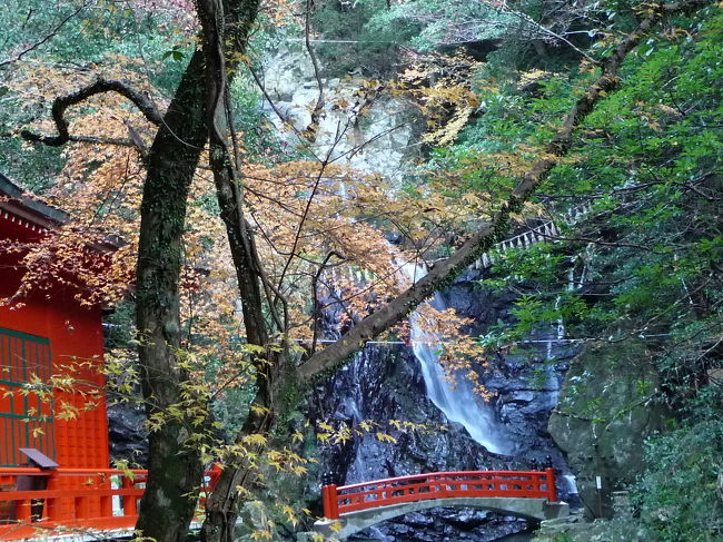 12月初旬の水曜日、オフ日だったJOECOOLはまだ紅葉が残っているであろう大阪南部へ行くことにしました。<br />この日のターゲットは泉佐野市の山中にある『七宝滝寺（しっぽうりゅうじ）』です。<br />『七宝滝寺』の最深部には「行者の滝」という滝もあります。