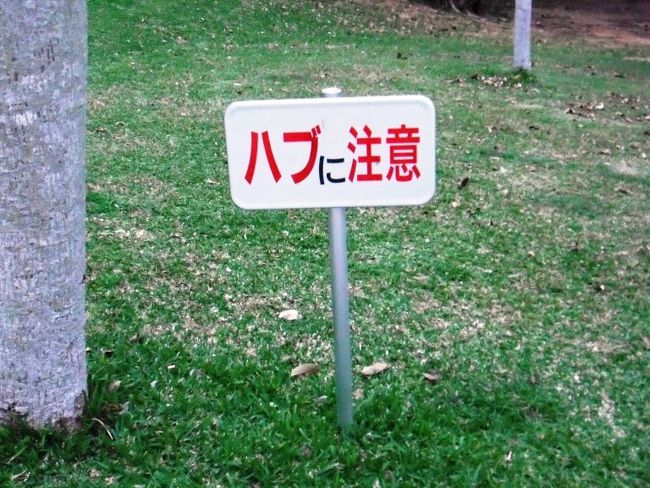 今となってはJALもこんな状態になってしまいましたが、修行は続けていこうかと思います。<br />そもそも今回の航空券を買ったときは、まだ何も決まっていなかったので。<br />何度もいってる沖縄ですが、久しぶりにレンタカーを借りて、ちょっとだけ足を延ばしてみようかと思います。<br /><br /><br />●旅程<br />1/22 JL0915 HND-OKA 12:00-14:55 1672FOP クラスJ:バーゲンフェア<br />1/23 JL0914 OKA-HND 15:25-17:35 1672FOP クラスJ:バーゲンフェア<br /><br />今回の旅程で貯まるFOP:3344FOP<br /><br />●費用<br />飛行機 :\26,200 うち今回分:\13,100<br />電車バス:\1,420 うち今回分:\710<br />レンタカ:\3,775 うち今回分:\2,834<br />宿泊費 :\4,300 うち今回分:\4,300<br />食事など:\2,423 うち今回分:\1,640<br />レジャー:\300 うち今回分:\0<br /><br />合計 :\3,8418 うち今回分:\22,584