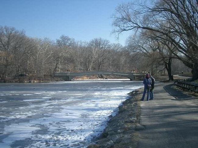 冬のニューヨークは寒さが厳しい。セントラル・パークの池も凍っていました。