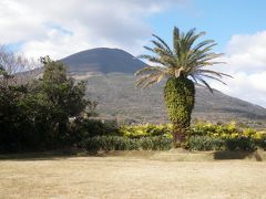 2010新春の八丈植物公園散歩