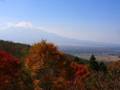 二十曲峠から見た富士山