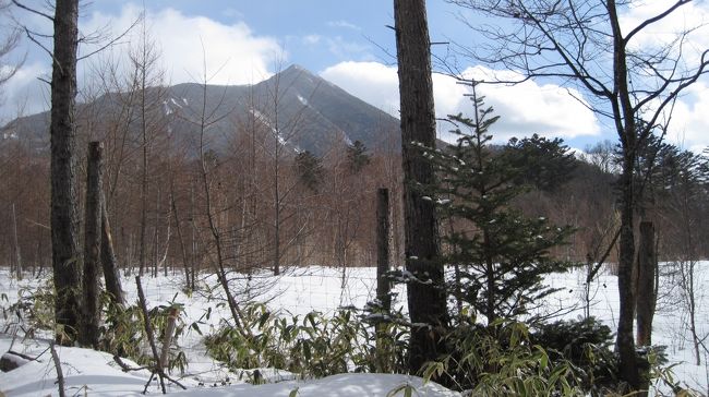 今年で３回目、遼君ではないが、トレーニングを兼ねて。<br />クロスカントリースキー（ＸＣスキー）はヨーロッパ、カナダで盛んで、幅５ｃｍのエッジの無い、かかとのあがるスキーで野山を散歩するスポーツで、ジャンプとの組み合わせを複合といい、<br />荻原兄弟が金メダルを取ったのは、有名。光徳沼周辺を１周５ｋｍのコースを３周はややきつい。でも貸しスキー、昼食、温泉で３０００円はお徳？アストリアホテルのサービス？