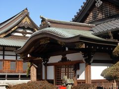 ご近所！ーーー市川・行徳　の　寺町　と　古民家　探訪～。　そして、　初めて・・・の　　「　自然観察　野鳥　園　」。　