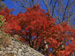 紅葉の岡城祉