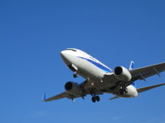 伊丹空港で飛行機見学！！