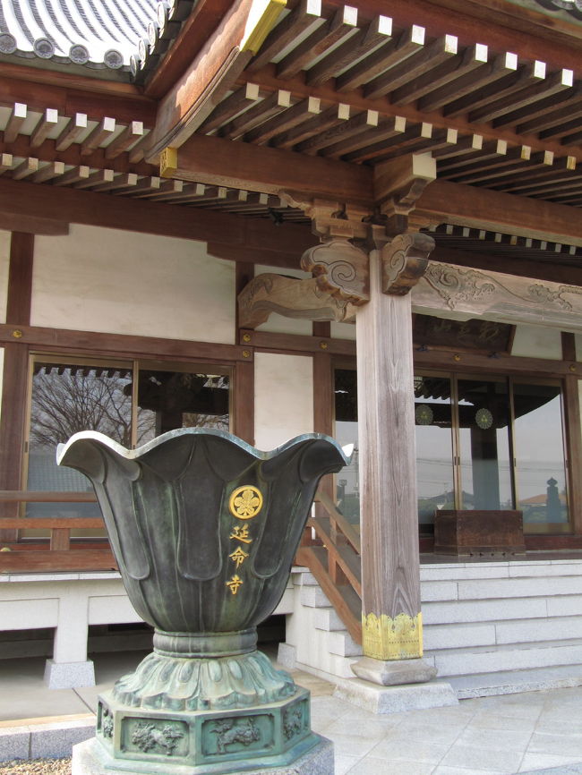 うちの近所にぽっくり寺だけでなく、延命寺まであったなんて@<br /><br />去年2009年、うちの近所（といってもJRローカル線で２〜３駅分のエリア）に「ぽっくり寺」なるお寺があることを知り、花の少ない１月の連休に自転車で探しに行きました。<br />今回、延命寺を見つけたのは、偶然です。<br /><br />でも、そういえば、去年、ぽっくり寺の場所の特定のためにネットで情報や地図を探っていたとき、延命寺もあることをどこかでチラリと仕入れたような覚えがかすかにあるかも。<br /><br />この週末は、特に撮影散策には出かけない予定でした。<br />先週、宝登山のロウバイと葛西臨海公園のスイセン＆水族園と盛りだくさんだったので、今週末は中休みでもいいと思いました。<br />でもそれは、昨日の土曜日の観劇会場を直前まで初台の新国立劇場と勘違いしていたせいなのです。<br />正しい会場は上野公園の東京文化会館だともっと早くに気付いていれば！<br />１時間ほど早く家を出さえすれば、冬ぼたん展を見ることができたはずです。<br />当初は、ぎりぎりで勘違いに気付いて、公演時間に間にあったことでほっとしてそれで満足でしたが、時間がたつにつれて、観劇前に冬ぼたん展に行きそびれたのが悔しくなりました。<br /><br />その悔しさは、翌日の日曜日にどこかで撮影をたっぷり楽しめれば解消されるはずです。<br />でも、日曜日は、そろそろ更新したパスポートを受け取りに行っておいとかねば、と思っていたので、撮影のための遠出ができません。<br /><br />そんなときに、ふと、去年、行きつけの写真屋さんに教えてもらった、裏の畑にある近所では有名な福寿草のある農家の様子を見に行こうと思いました。<br />だけど、その場所はうろ覚えだったので、道を間違えて行き過ぎてしまいました。<br />そのことに気付いて戻る途中で見つけたのが、あんまり古めかしくないけど、思わずカメラを構えたくなった延命寺でした。<br /><br />※去年2009年のぽっくり寺めぐりの旅行記<br />「ぽっくり寺を求めて近所の寺社開拓・その１」（2009年１月10日）<br />http://4travel.jp/traveler/traveler-mami/album/10302264/<br />「ぽっくり寺を求めて近所の寺社開拓・その２」（2009年１月11日）<br />http://4travel.jp/traveler/traveler-mami/album/10302344/<br />