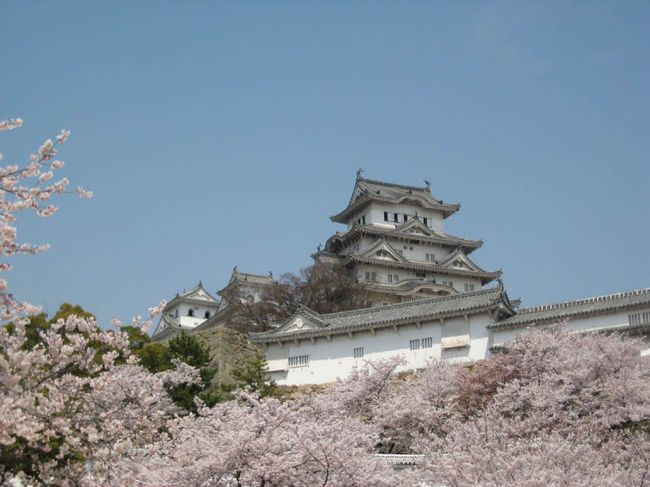 二日目の午後は、岡山を後にして京都方面へ。<br /><br />途中の姫路に立ち寄り、姫路城・明石城へ行きました。<br />姫路城は、日本の最初の世界遺産だけに圧巻でした。<br />別名、白鷺城の名前の通り、多くの桜に囲まれて高みに建つ姿は、優美で威風堂々とした存在感がありました。<br /><br /><br /><br />