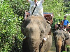 アラサー男 タイ一人旅 10日間 Day8 ～バンコク(世界自然遺産 "カオヤイ森林地帯")編～