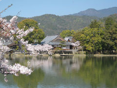 岡山・姫路・京都（桜巡り）　その６～京都嵯峨野編～　２００９年４月