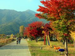 ２００９　河口湖紅葉まつり