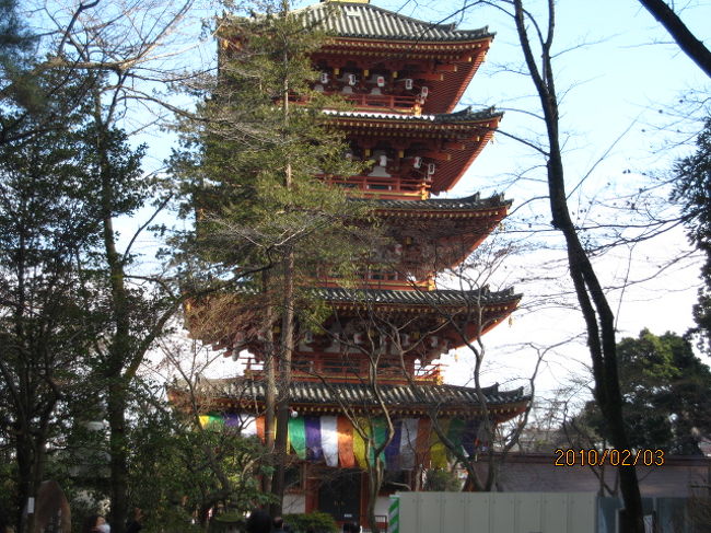 都下にある古刹高幡不動尊。真言宗智山派の別格本山で、正式名は「高幡山明王院金剛寺」。古来より関東三大不動尊として広く庶民から崇拝されている。寺伝によれば創建は大宝年間の701年以前の行基菩薩の開基と伝えれるが、今を去る1100余年前、天台座主、慈覚大師大師円仁さんが清和天皇の命を受け、東関東鎮護の霊場として山中に不動堂を建立し、不動明王を安置したのが、その始まりと言われている。境内には市内日野の英傑土方歳三の銅像もあり、明治2年5月、函館戦争で享年35歳で亡くなった同人を偲び、毎年5月の第2日曜日には新撰組の慰霊祭が開催されている。又重文の不動明王像は平安時代の作で、総重量1.1トン、286cmの丈六像。両脇にセイタカ童子、コンガラ童子を従え、古来より火防の神様、汗かき不動とも呼ばれ、古来日本一の不動三尊と称せられている。今日は節分の日。自宅から左程遠くはないが、久し振りにこの寺を訪れる。既に大勢の参詣客がこれから始まる豆撒きを待っている。客殿の前は立錐の余地もない。追儺式も終わり境内を散策する。祭りに寄せて大勢の出店が出ている。明日は立春。春節に向けてダルマもいっぱい売られている。紅梅も今が見頃だ。今日に限って五重塔が開扉され、正面に観世音菩薩が安置されている。よく見るとタイ国の佛様と書いてある。タイからの伝来佛だろうか。寺僧に聞いてもその由来は分らない。ただ言えることはそれ程古くないものとのこと。観世音菩薩、又の名、観自在菩薩。タイ語で何と呼ぶか知らないが、Avalokitesvara。静かに合掌し般若心経を読経する。帰り、お寺で副豆を求め、屋台で、イナゴ、フナ、アミ、シジミの佃煮を買い、流石にイワシは遠慮して帰路に着く。