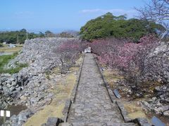 2009冬の沖縄　３泊４日　その2　～道産子の旅～