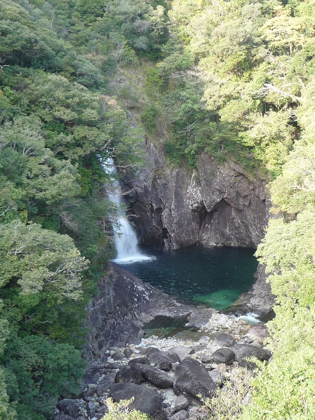 屋久島空港でレンタカーを借りる手続きを済ませ、本日のお宿がある尾之間地区に向かいます。<br />私たちが住んでいる大阪に比べると日没時刻が遅いので、日が暮れるまでにいくつかの滝めぐりができそ〜う♪<br />ということで、最初に向かったのは「千尋の滝」ですが、「千尋の滝」に向かう途中に『竜神の滝』という滝が道路沿いにあるのでそちらを先に訪れることにしました。