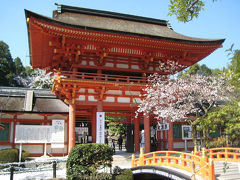 岡山・姫路・京都（桜巡り）　その７～京都左京区編～　２００９年４月