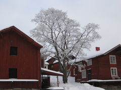 3度目の FINLAND 2010冬 ? ポルヴォーへ 