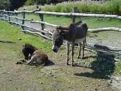 子供と初めての旅行。那須