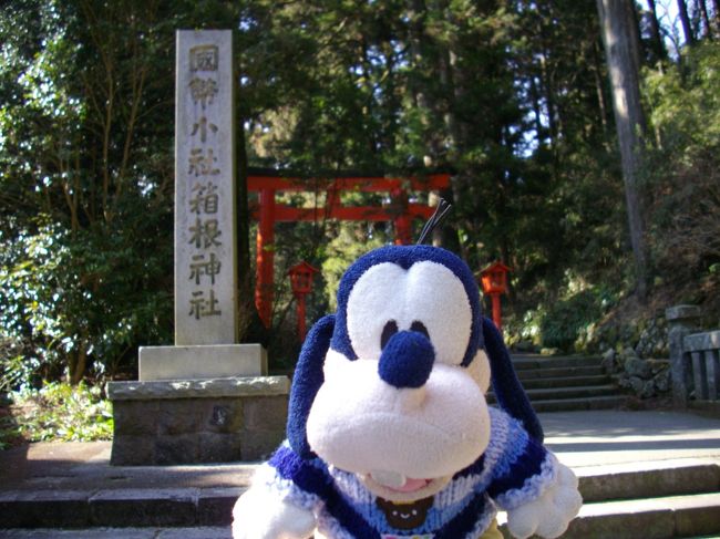 グーちゃんだよ。<br />考えてみたら<br />まだ初詣をしてなかったの。<br />いい機会なの。<br />合宿で済ませるの!
