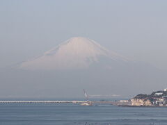 鎌倉でバードウォッチング [2010](1)