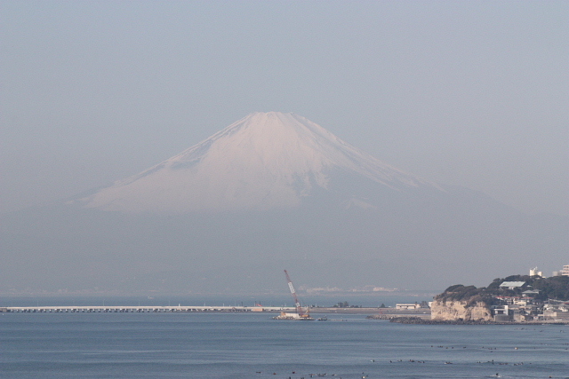 鎌倉の稲村ガ崎に、珍鳥キヅタアメリカムシクイが出ているとの情報で、見に行ってきました。<br /><br />残念ながら、キヅタアメリカムシクイは見られませんでしたが、美しい風景と若干のバードウォッチングを楽しみました。<br />その後、珍鳥ユキホオジロの情報を得て、急遽九十九里浜までドライブしました。<br /><br />写真は、稲村ガ崎から富士山を望む。<br /><br />※ 2016.09.10 位置情報登録