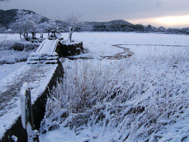 昨日の初積雪にカメラを持って飛び出した私ですが、なんと今朝方の雪景色には驚きました。<br />昨日の積雪の倍以上の15センチあまりの積雪です。<br /><br />またも飛び出す事に,,,<br /><br />しつこい程の嵯峨野の白い景色です。(すみません)<br /><br /><br />