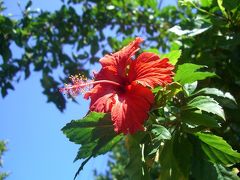 マッタリ→ナホッコリ→ナ沖縄2007①