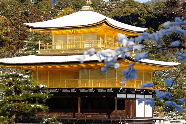 京都に待望の雪が降る（一部の人だけかも）しかも天気の予報は晴れ これは金閣寺に行くしかない 朝9時を目指して出発