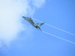 シンガポール航空ショー　（Singapore air show) 2010