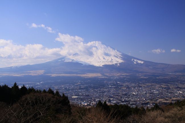 正月が過ぎて、１月の３連休。冬の澄んだ空気の中、富士山を見に行こうと思い立ち、夜９時過ぎに自宅を出発し、中国道から新名神、東名を通ってＰＡで仮眠し、西伊豆から箱根・御殿場を経て、西側の富士宮まで富士を日帰り旅に出かけました。<br />春以来の富士山でしたが、やっぱり実物の富士山を見ると、美しい姿に見飽きることはありません。<br />空腹を満たした沼津港を経て、芦ノ湖スカイラインから御殿場・裾野への旅行記です。<br />