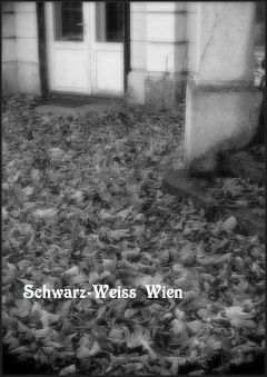 Schwarz-Weiss　モノクロームのウィーン　Nr.1