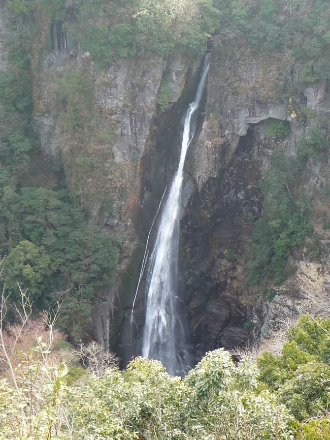 「竜門の滝」を後にして、九重町から耶馬溪のある玖珠町に入ります。次の目的地は日本の滝百選にも選ばれている『西椎屋の滝』です。<br />百選滝に選ばれるだけあって、さすがにその豪快な雄姿には圧倒されました。<br /><br />※日本の滝百選はこれで58ヶ所めとなりました。